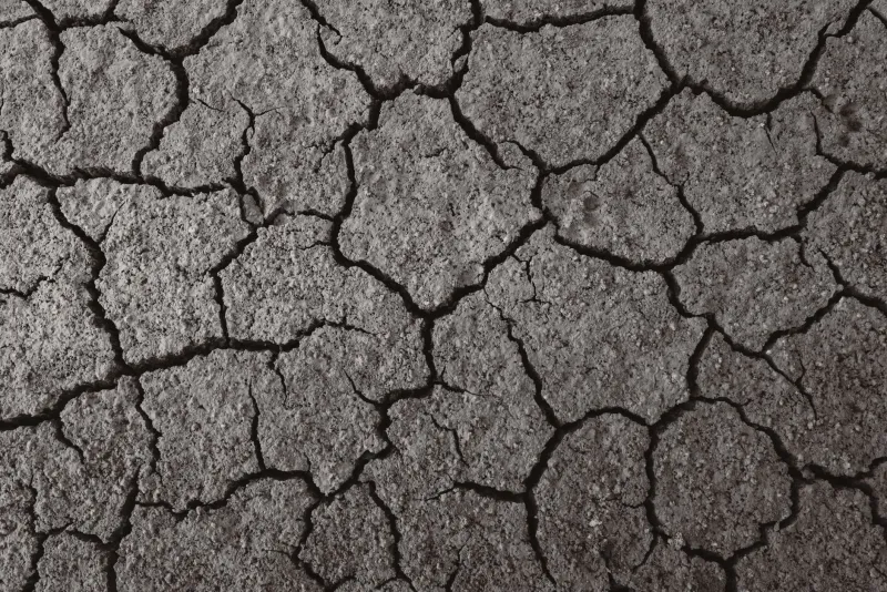 When the Drought Breaks: Understanding Why Aussie Punters Bet Recklessly After Long Losing Runs