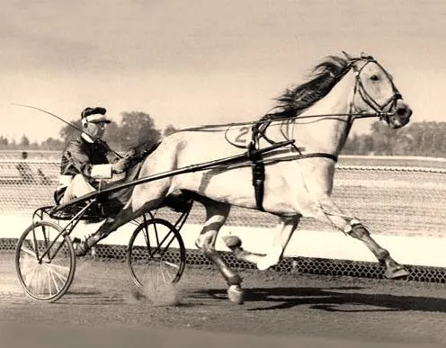 Racing Three Ways: Thoroughbreds, Greyhounds, and Virtual Tracks — Which Bet Actually Gives Aussies the Best Shot?